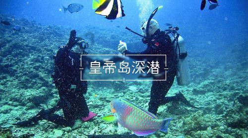 朱立凡任新疆维吾尔自治区人民政府副主席
