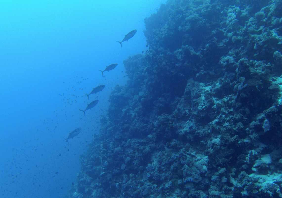 室内环境检测治理工程师证还有吗 有用吗